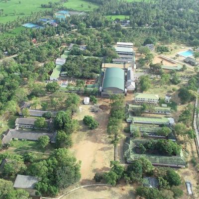 පාසල් පිට්ටනි පරිශ්‍රය